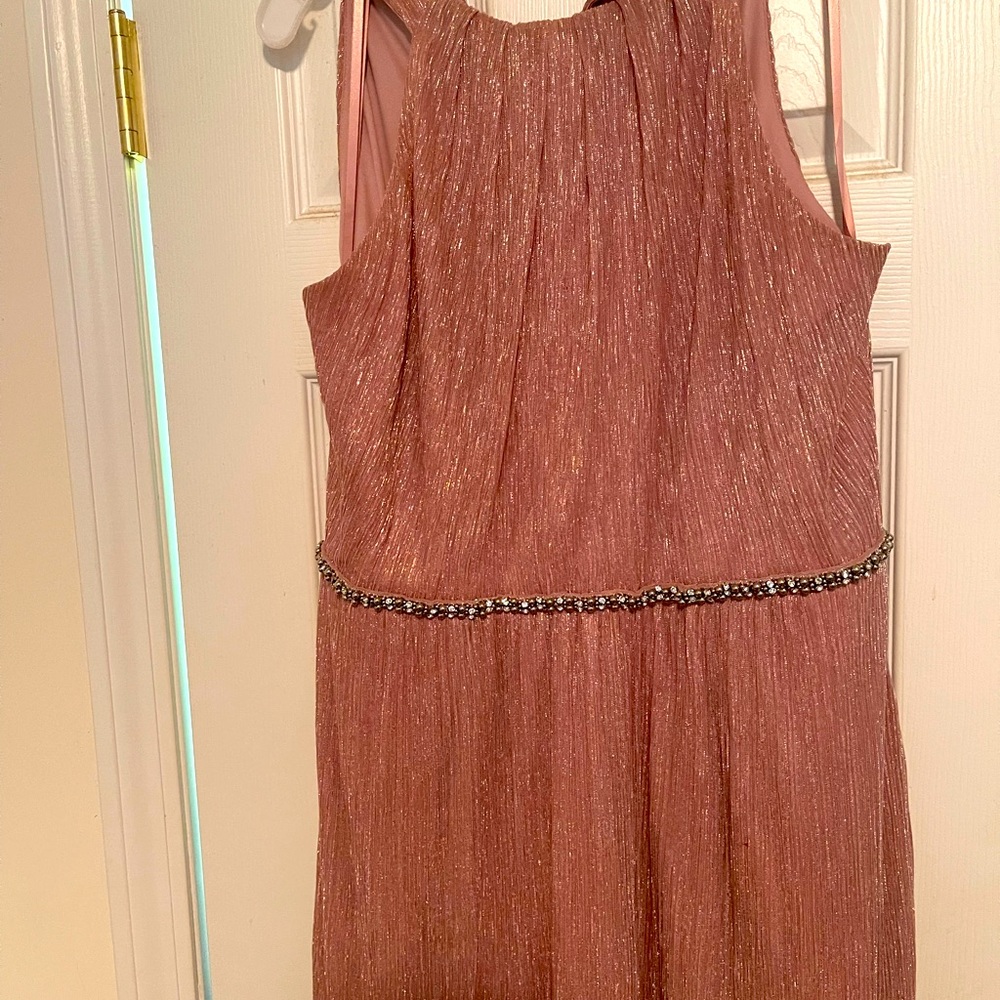 Formal wear: Ladies long gown